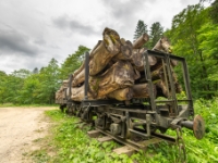 Do punktu widokowego Pichurów